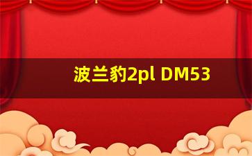 波兰豹2pl DM53